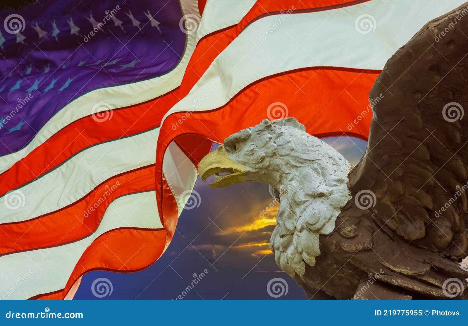 águila Calva Americana Con La Bandera En Estados Unidos De América De Fondo  Imagen de archivo - Imagen de americano, democracia: 219775955