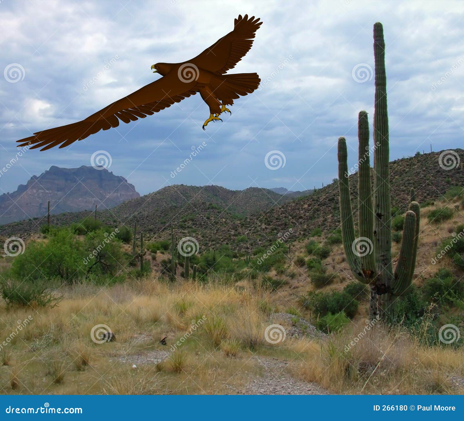 Águila del desierto stock de ilustración. Ilustración de salvaje - 266180