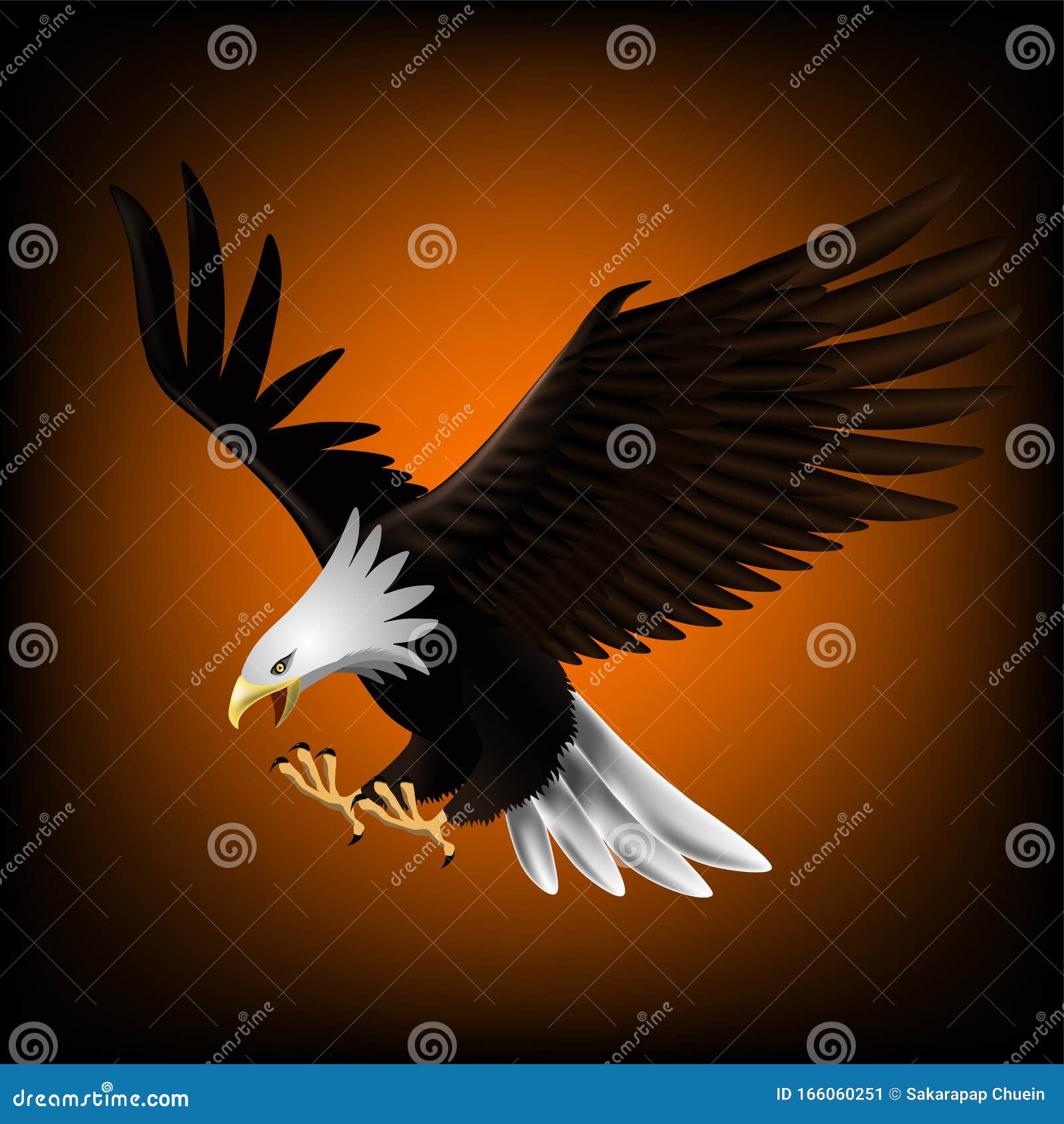 Águila Volando Hacia Abajo Y Capturando Presas 10 Ilustración del Vector -  Ilustración de orgulloso, aislado: 166060251