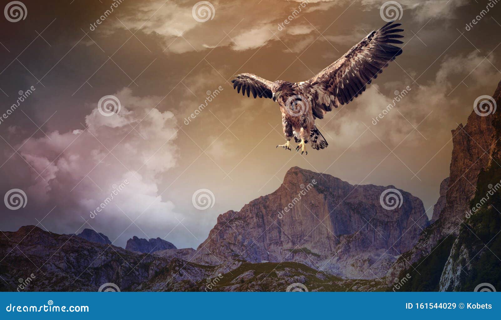 Águila Volando Sobre Las Oscuras Montañas Imagen de archivo - Imagen de  buitre, roca: 161544029