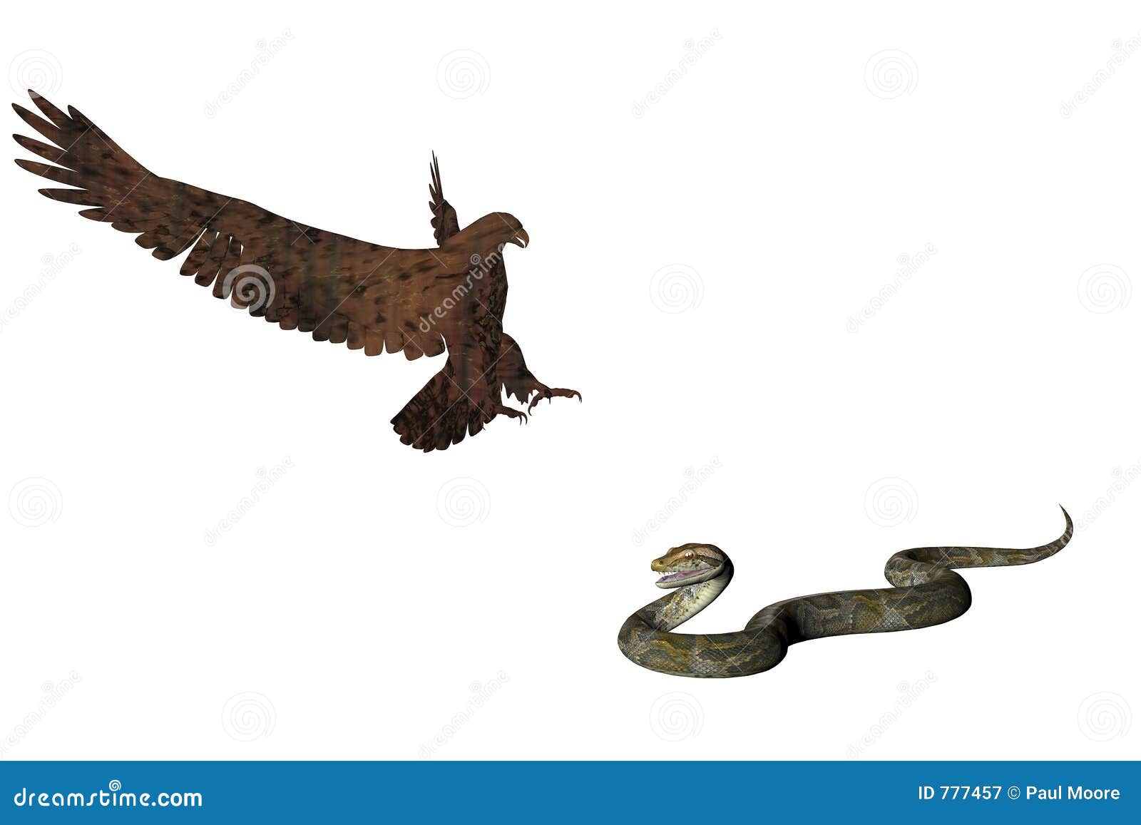 Águila y la serpiente dos stock de ilustración. Ilustración de pico - 777457