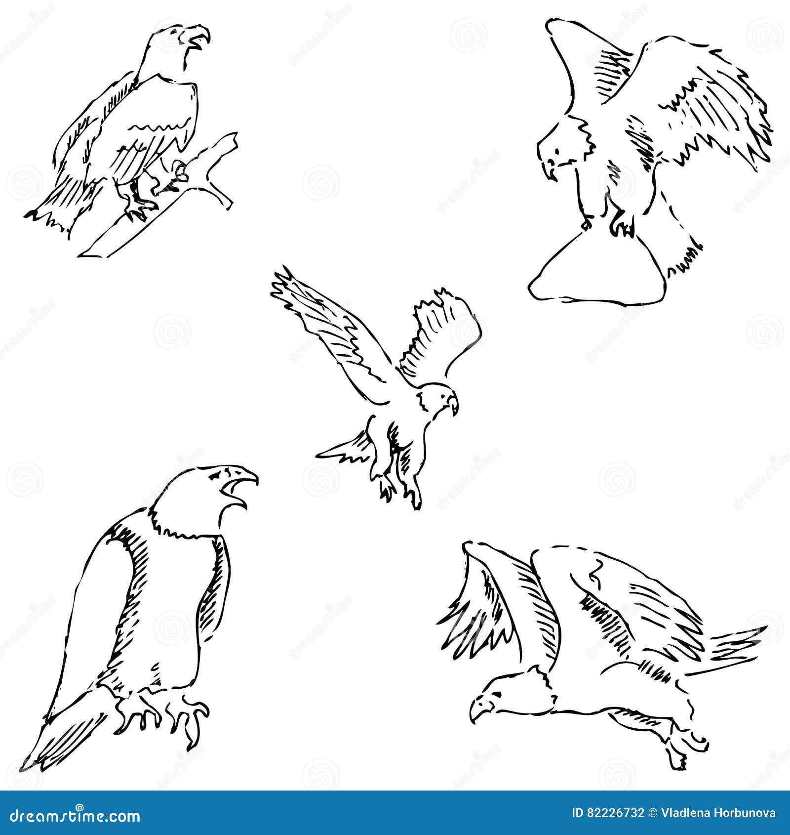 aparato Tecnología cascada águilas Lápiz Del Bosquejo Drenaje a Mano Vector Ilustración del Vector -  Ilustración de animal, orgullo: 82226732