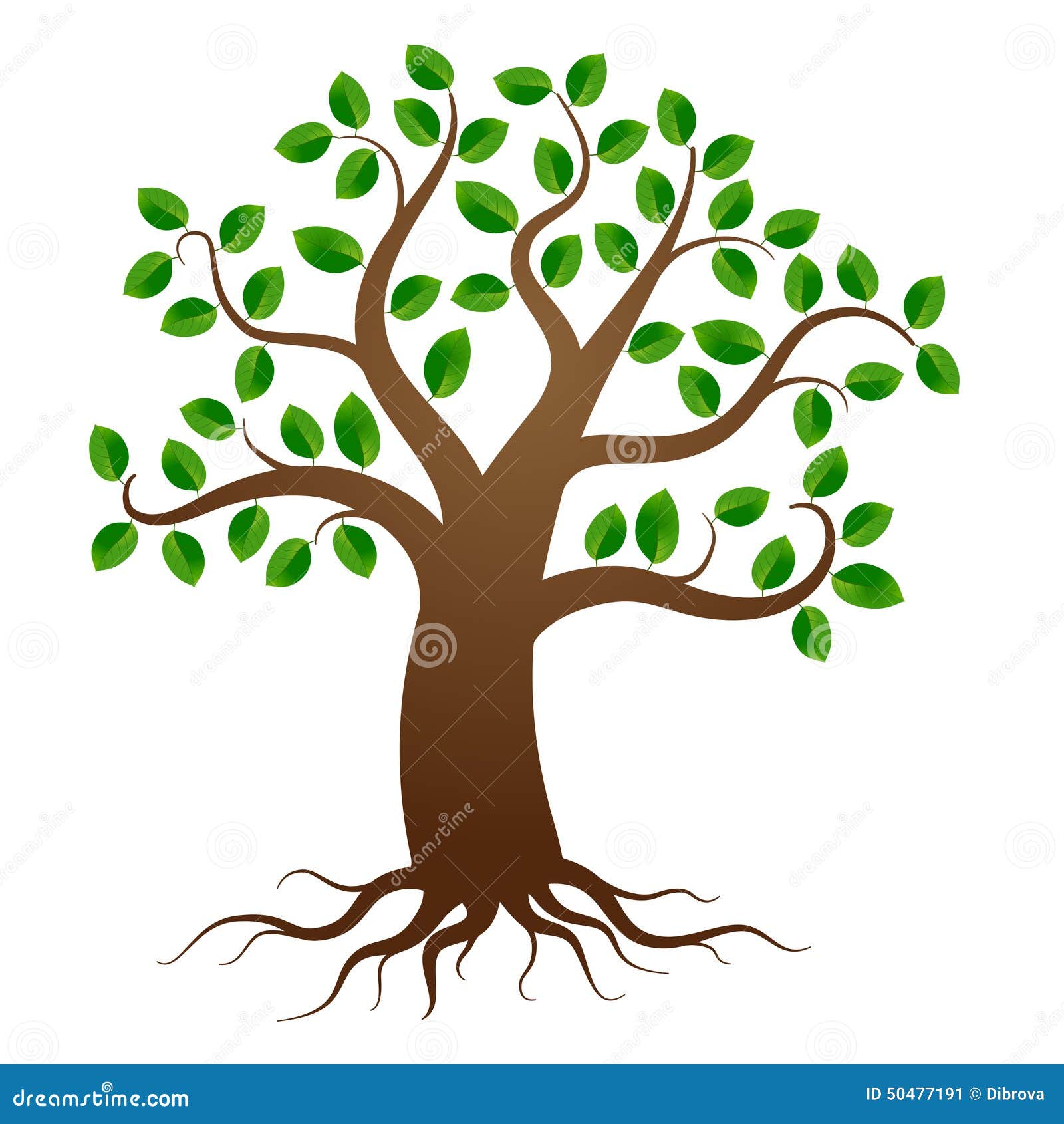 Árbol Del Vector Con Las Raíces Ilustración del Vector - Ilustración de fondo, hermoso: 50477191 Árbol Del Vector Con Las Raíces Ilustración del Vector - Ilustración de fondo, hermoso: 50477191
