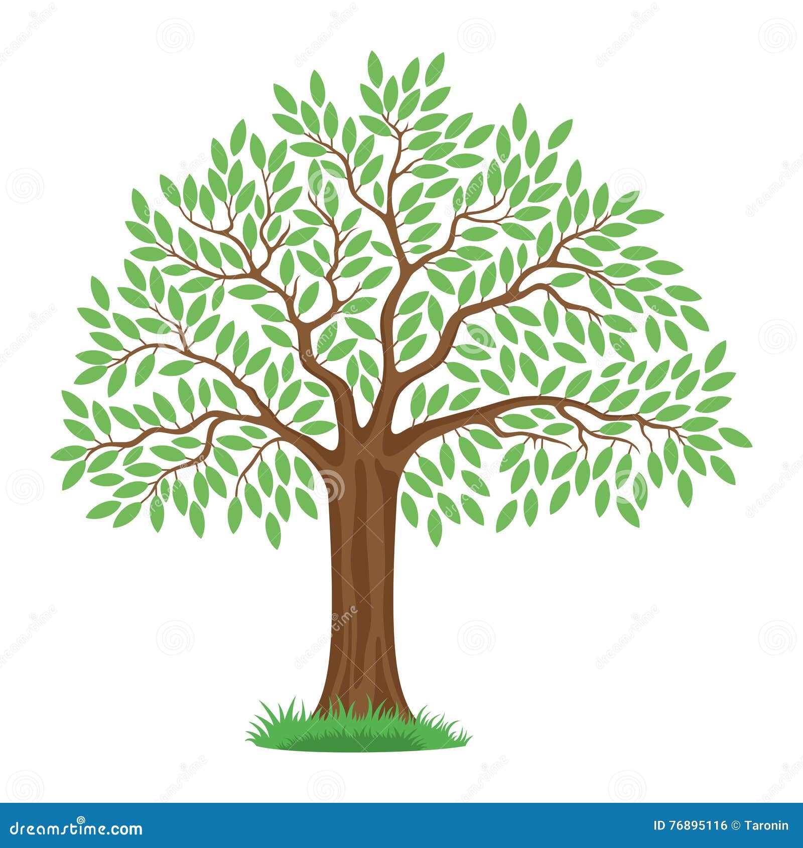 Árbol Hermoso Con Las Hojas Verdes Ilustración del Vector - Ilustración de  arbusto, hojas: 76895116