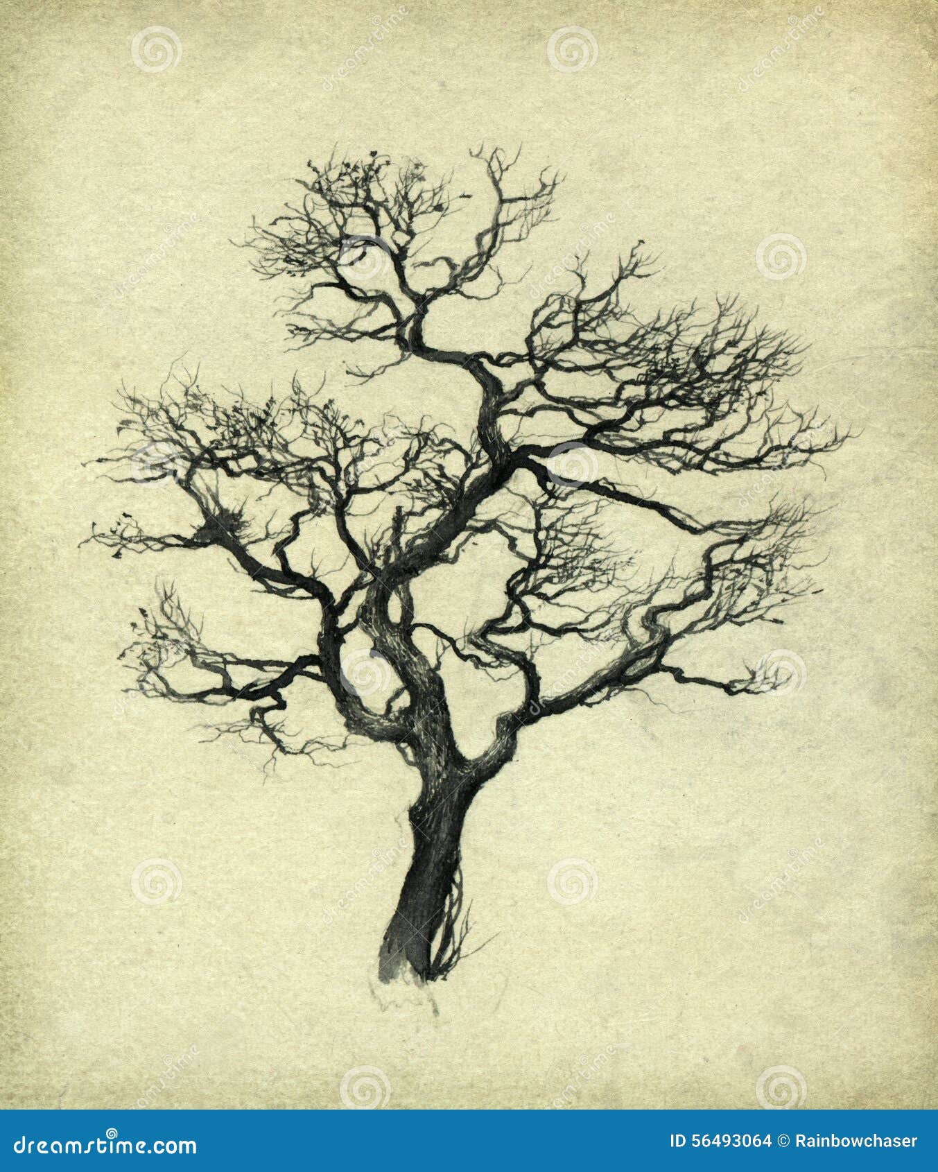 Árbol seco stock de ilustración. Ilustración de vertical - 56493064