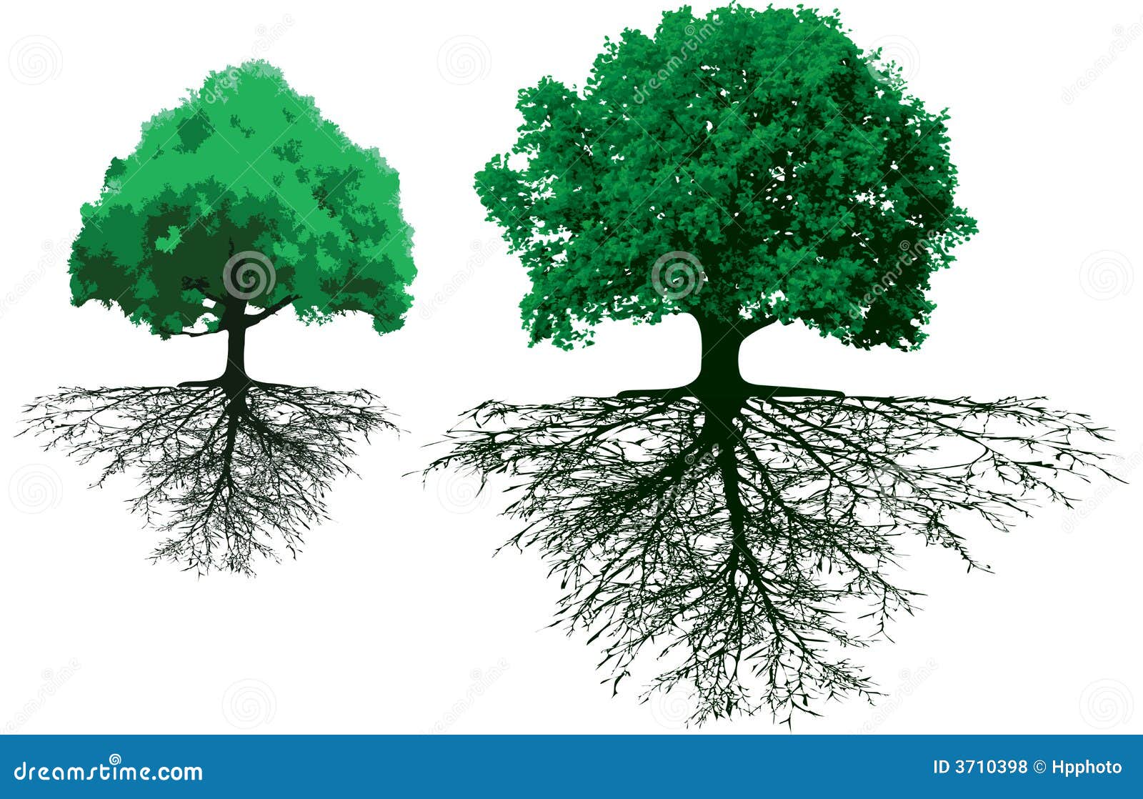 Árboles con las raíces ilustración del vector. Ilustración de elementos -  3710398