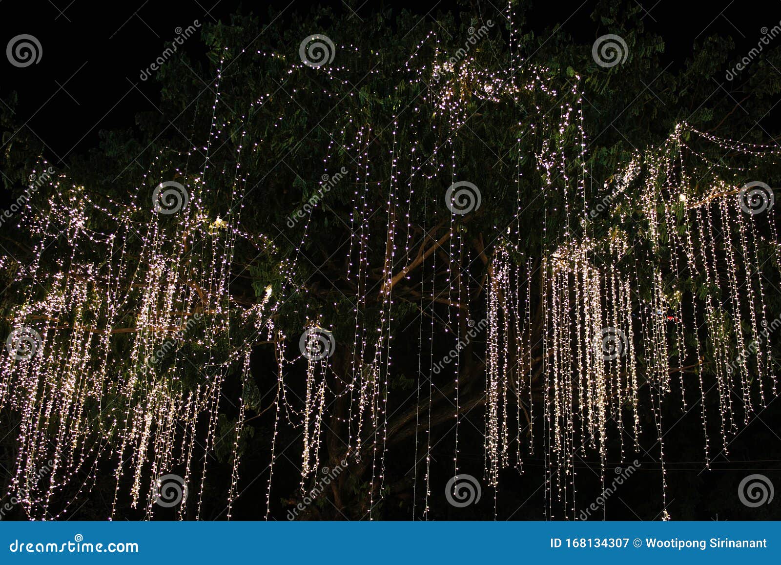 Árboles Decorados Con Brillantes Luces Para Celebrar Eventos De Navidad Y  Año Nuevo Imagen de archivo - Imagen de chispa, ornamento: 168134307