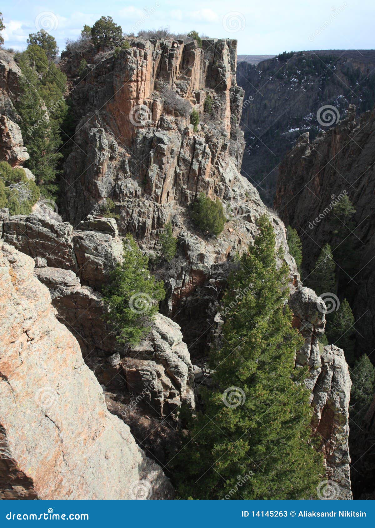 Árboles En La Barranca Negra Colorado Imagen de archivo - Imagen de  paisaje, alto: 14145263
