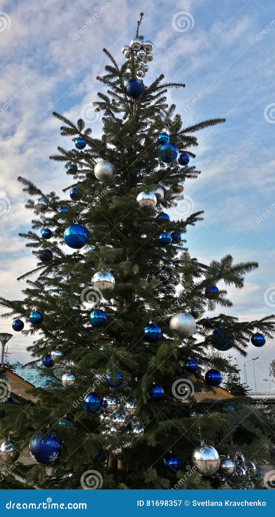 Árvore De Natal Decorada Com As Bolas Do Azul E Da Prata Imagem de Stock -  Imagem de azul, parque: 81698357