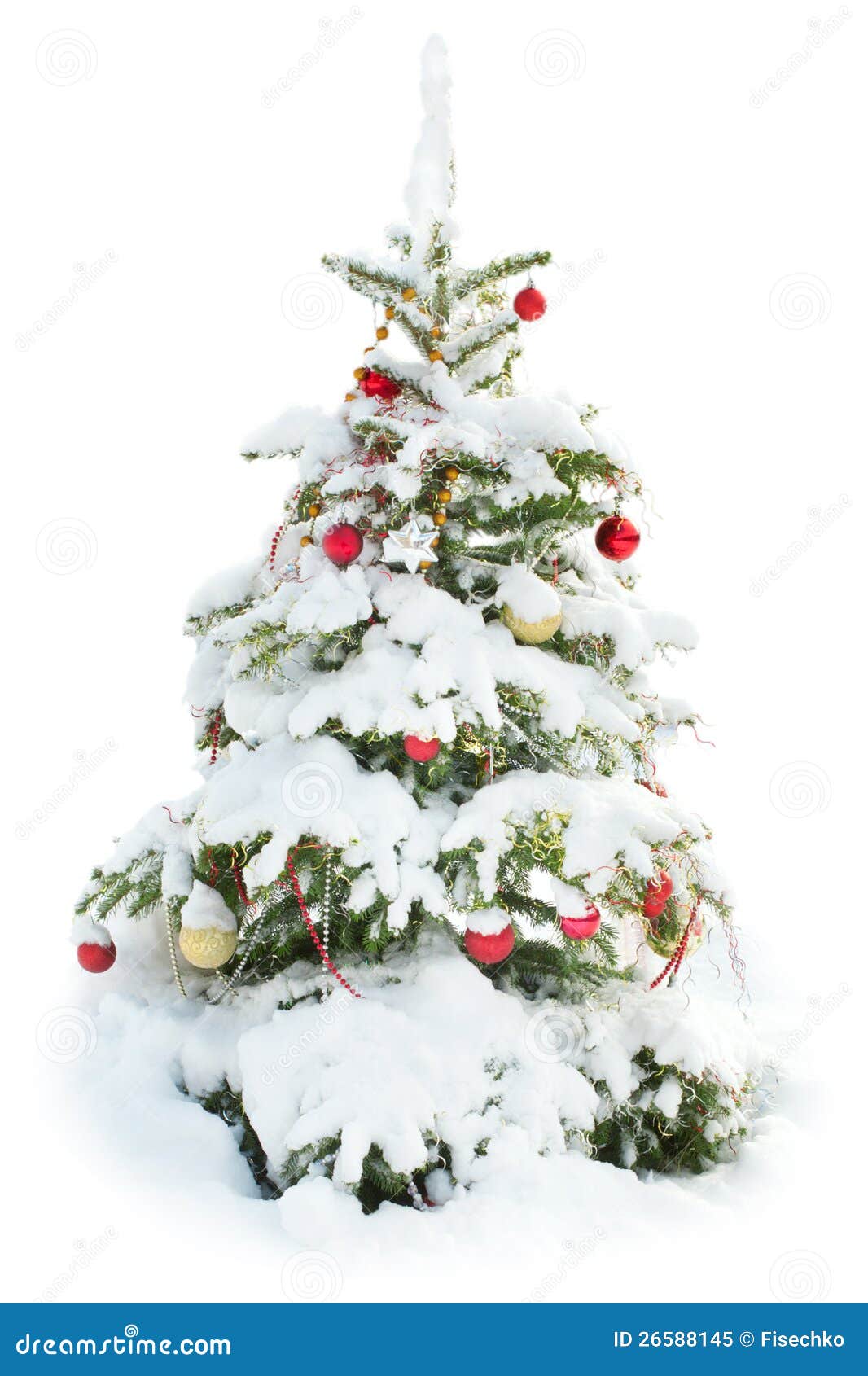 Árvore De Natal Decorada Sob a Neve Isolada Imagem de Stock - Imagem de  cone, projeto: 26588145