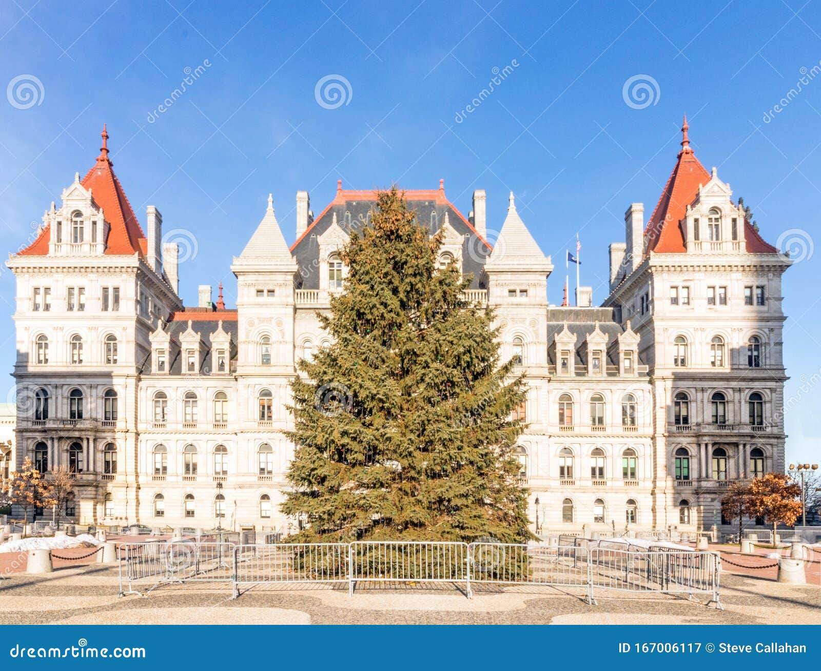 Árvore De Natal Do Estado De Nova Iorque E Capital Estatal Imagem de Stock - Imagem de natal, inverno: 167006117 Árvore De Natal Do Estado De Nova Iorque E Capital Estatal Imagem de Stock - Imagem de natal, inverno: 167006117
