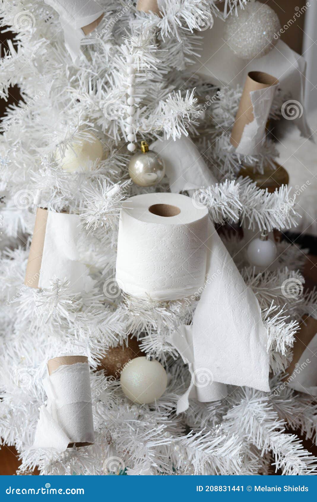 árvore De Natal De Papel Higiênico 2020 Com Ornamentos 2020 Imagem de Stock  - Imagem de papel, branco: 208831441