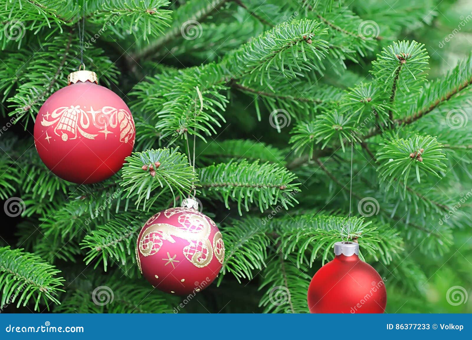 Árvore De Natal Verde Decorada Com Bolas Vermelhas Imagem de Stock - Imagem de pinho, inverno: 86377233 Árvore De Natal Verde Decorada Com Bolas Vermelhas Imagem de Stock - Imagem de pinho, inverno: 86377233