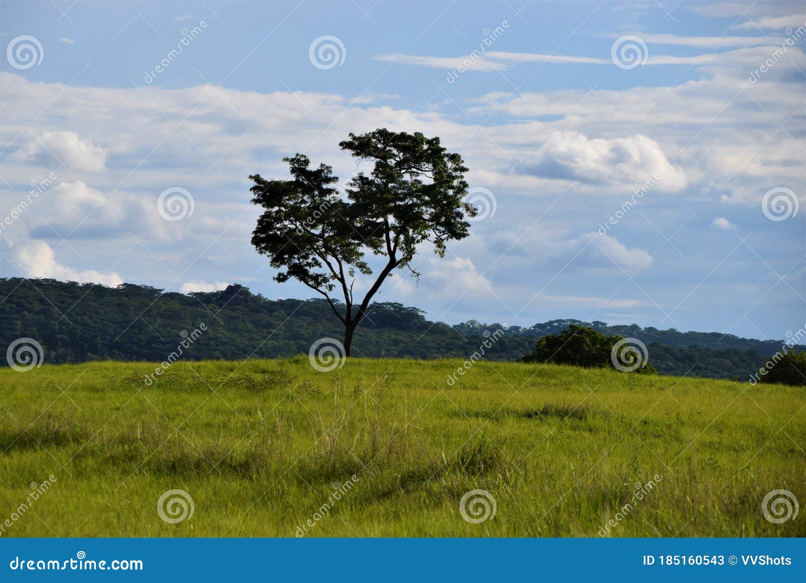 Lendário Rn7 Significa Rota Nacional Que Atravessa Savana Selvagem Vermelha  Africana Com Pequenas árvores E Arbustos Nos Lados Imagem de Stock - Imagem  de paisagem, destino: 174232899