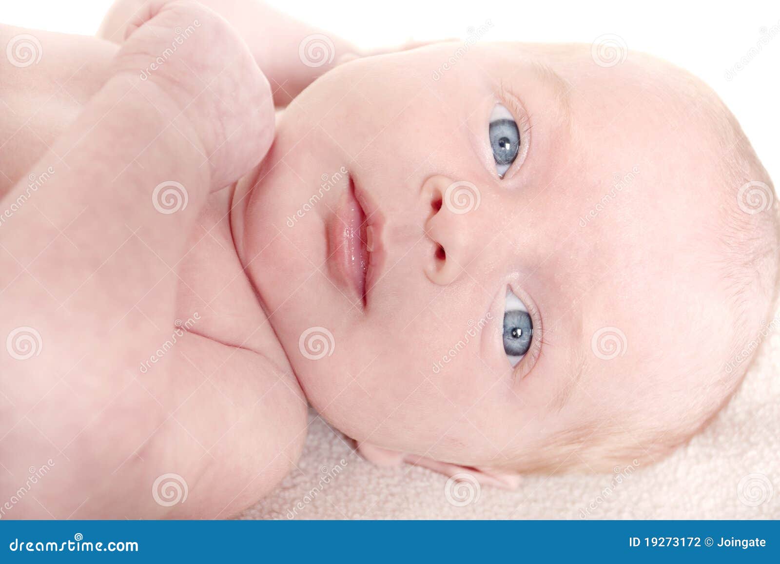 Age De Bebe 6 Semaines De Photo Stock Image Du Bleu