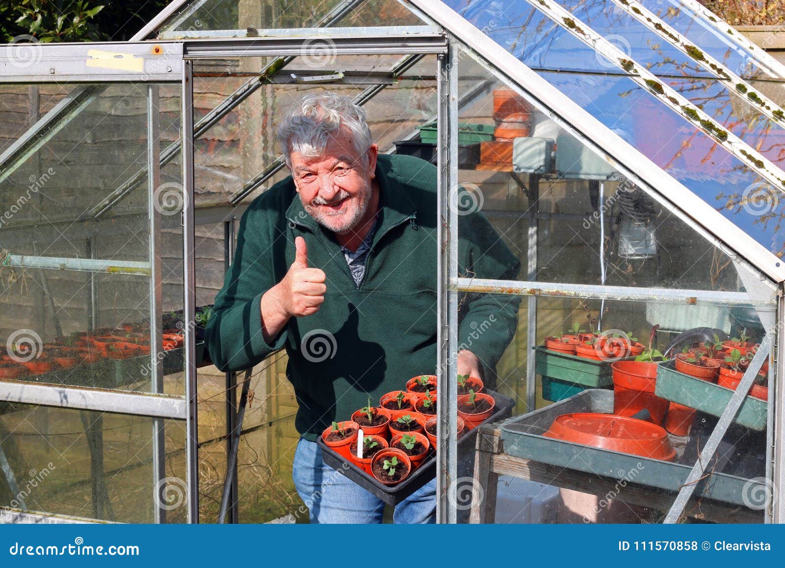 Alterer Gartner Im Gewachshaus Oder Im Glashaus Stockfoto Bild Von Gartner Oder 111570858