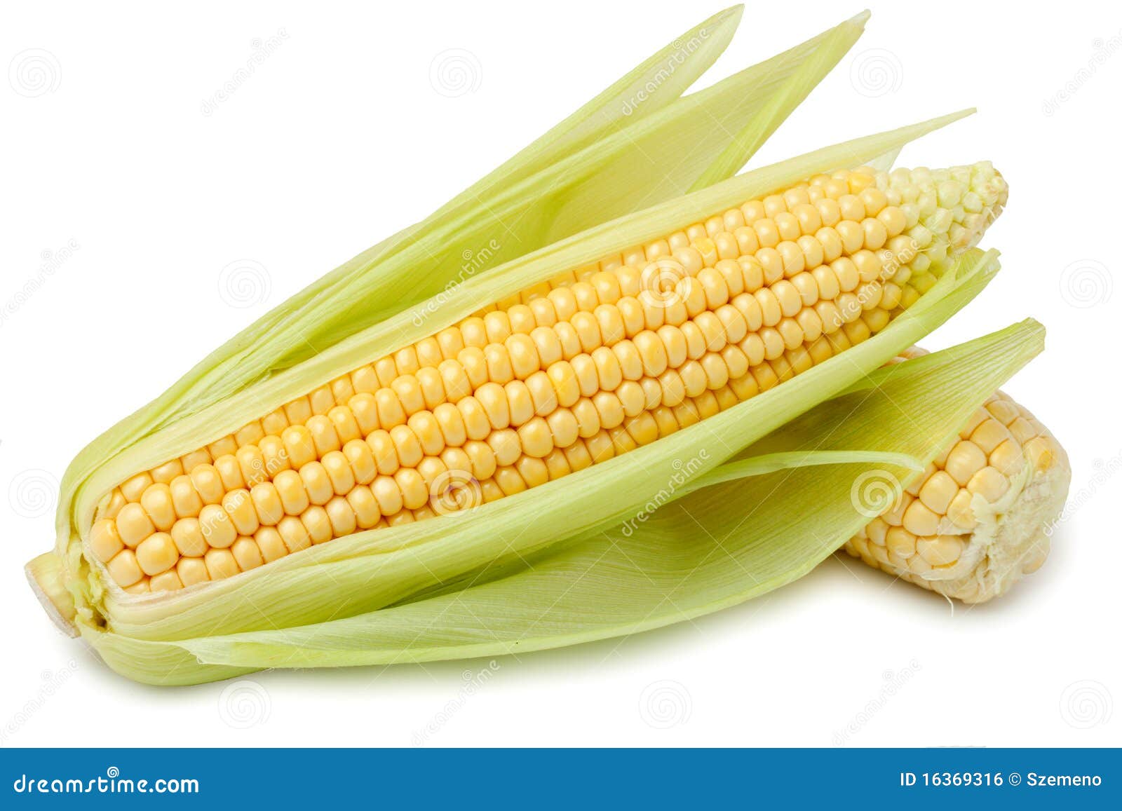 Épi de maïs photo stock. Image du texture, ferme, grains - 16369316