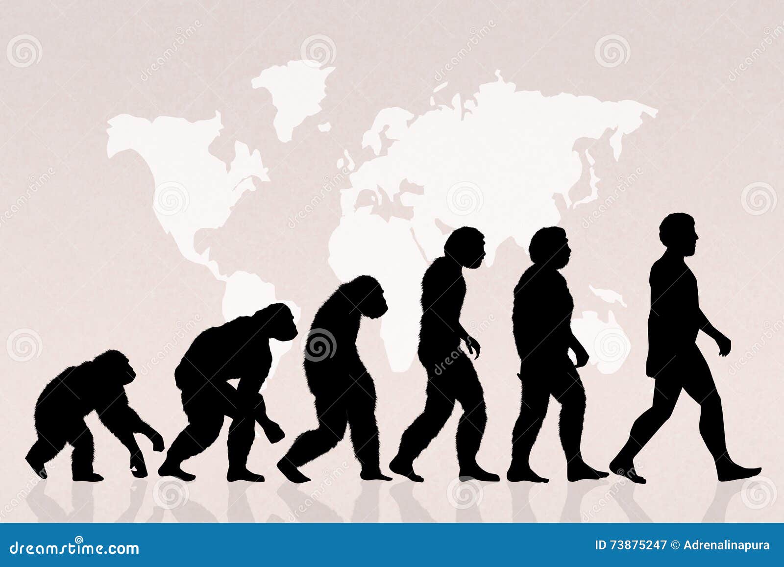 Évolution des espèces illustration stock. Illustration du singe - 73875247