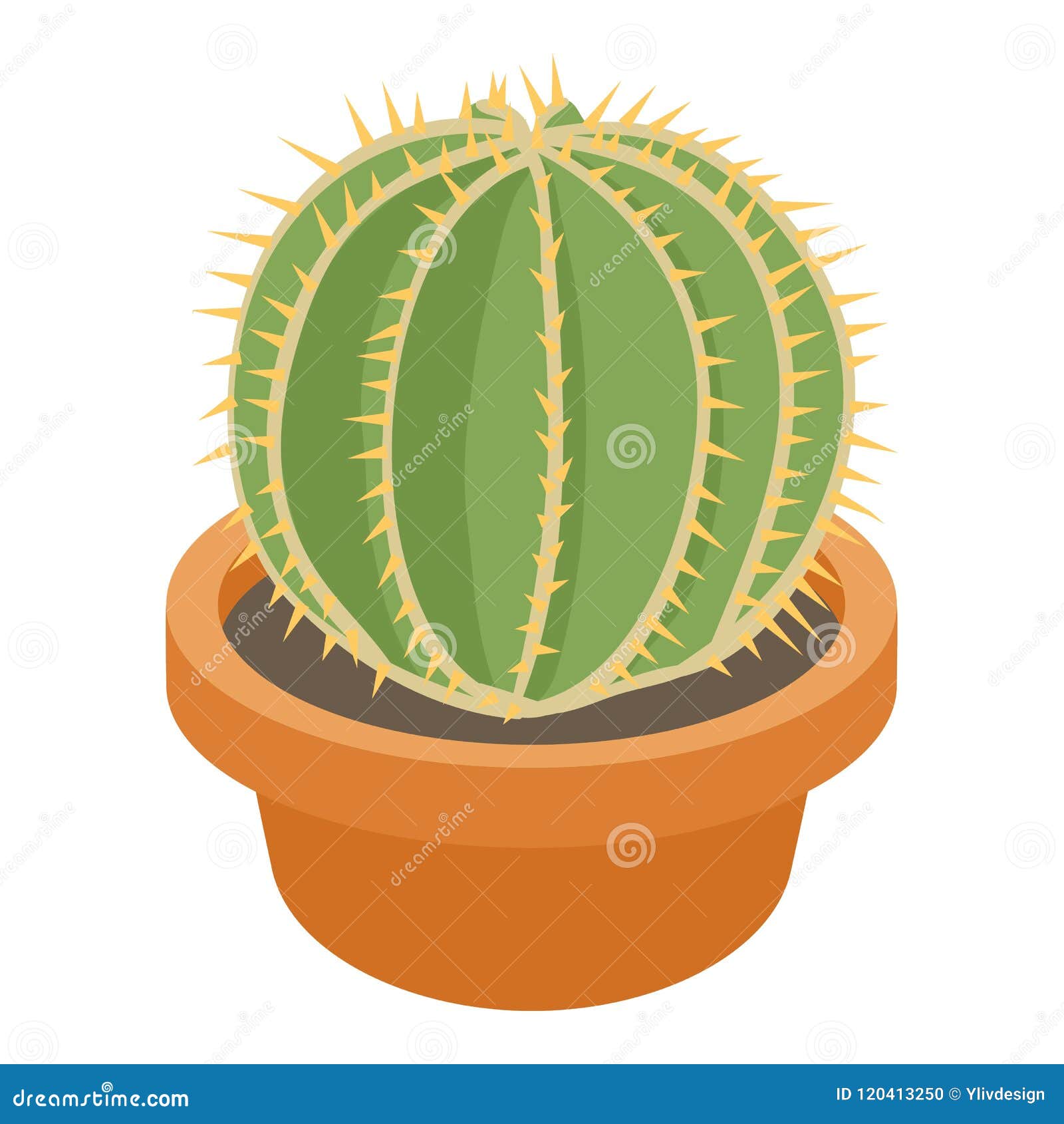 Desenho de Cactaceae, bola de cacto, cartaz, bola de discoteca png