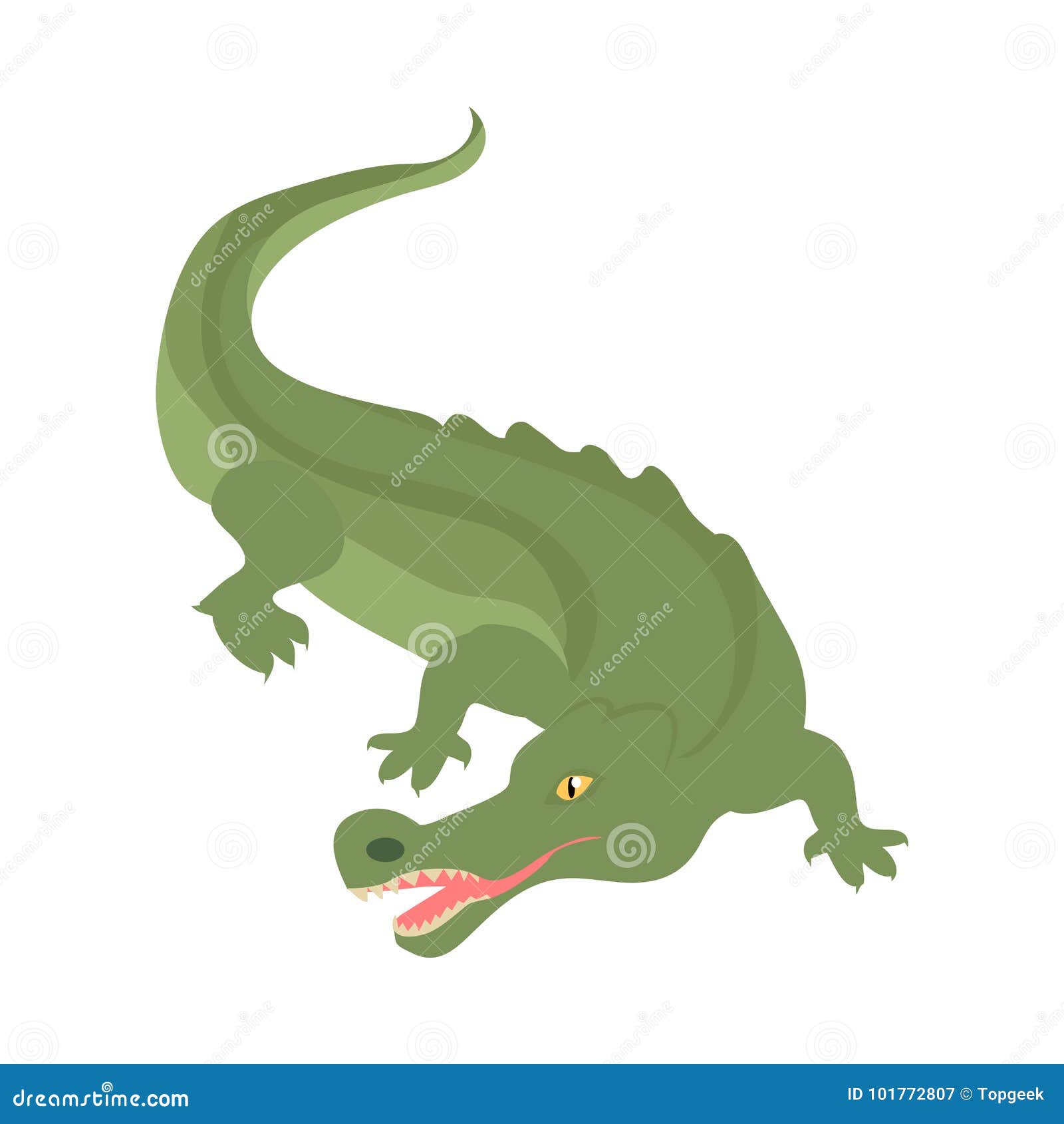 Crocodilo Réptil Personagem Animal Ilustração Desenho Animado