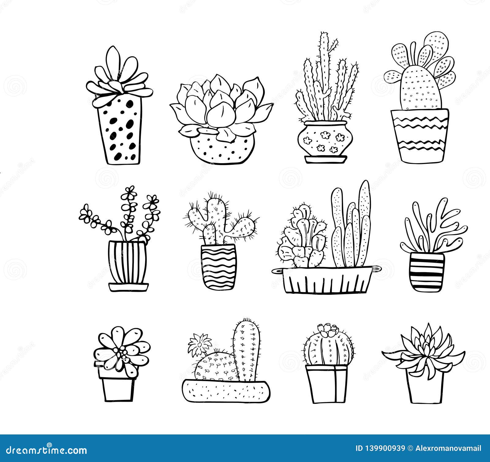 Featured image of post Succulent Plant Sketches Sketched some succulents from the garden today pencil watercolor