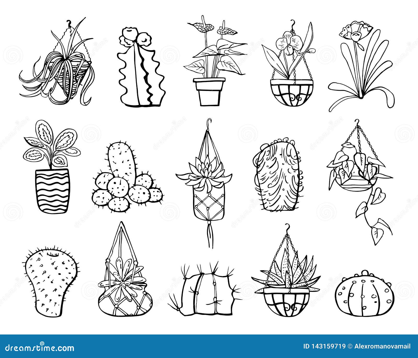 Featured image of post Hanging Succulents Drawing Trailing succulents are great for hanging planters because they spill and cascade down the sides of the planter