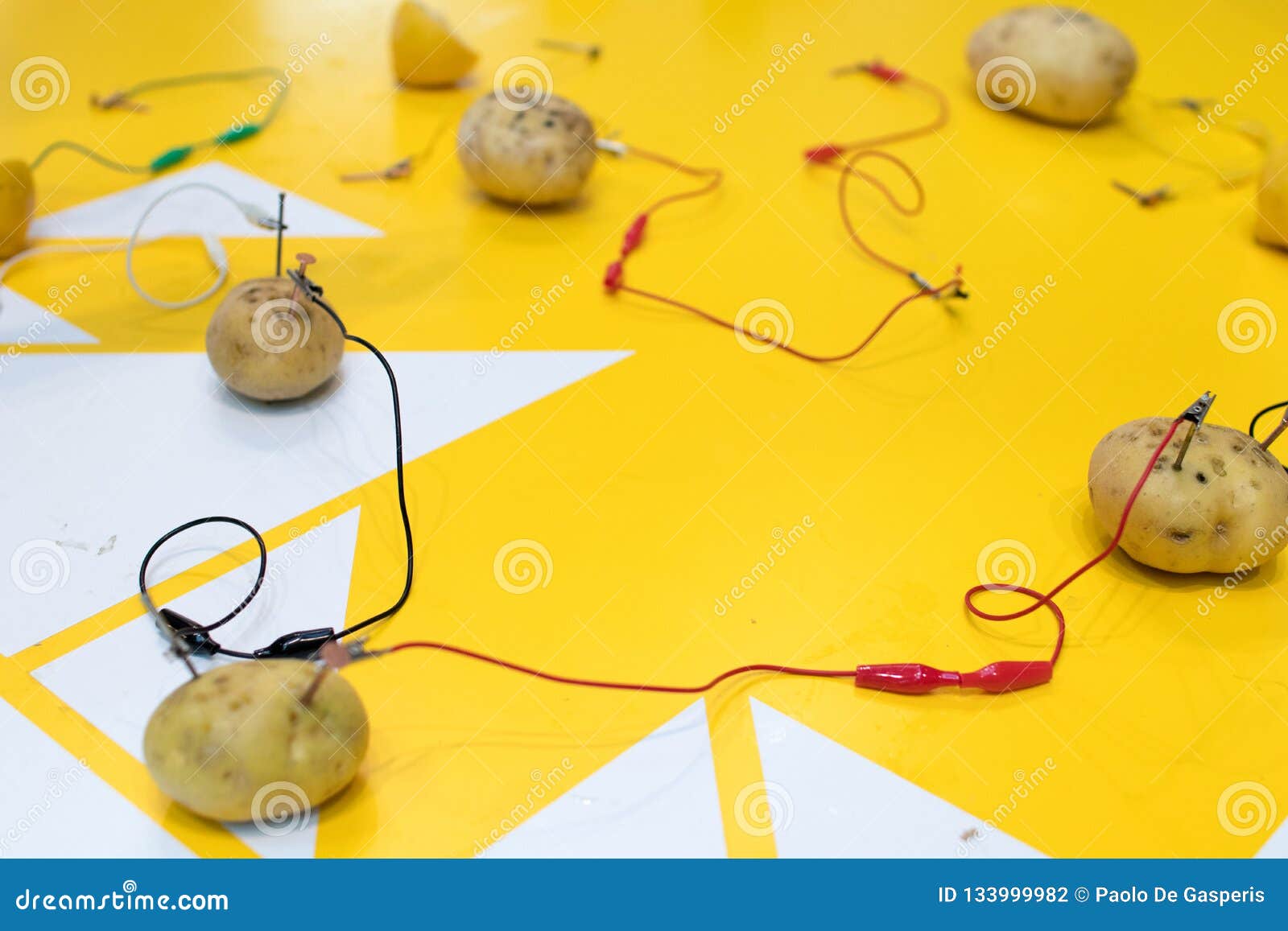 Δραστηριότητα ΜΙΣΧΩΝ μπαταριών πατατών με τις πατάτες, λεμόνια, σαν  αλλιγάτορας CL Στοκ Εικόνες - εικόνα από : 133999982