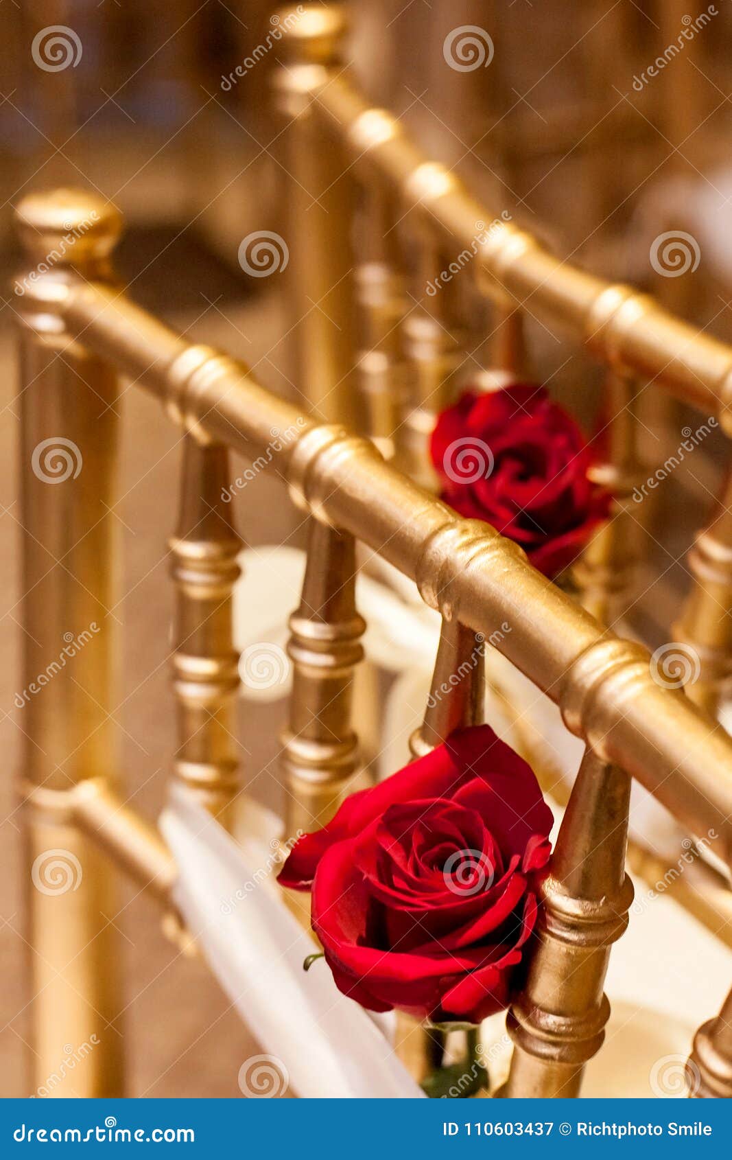 Κόκκινα τριαντάφυλλα στις χρυσές καρέκλες Στοκ Εικόνα - εικόνα από :  110603437