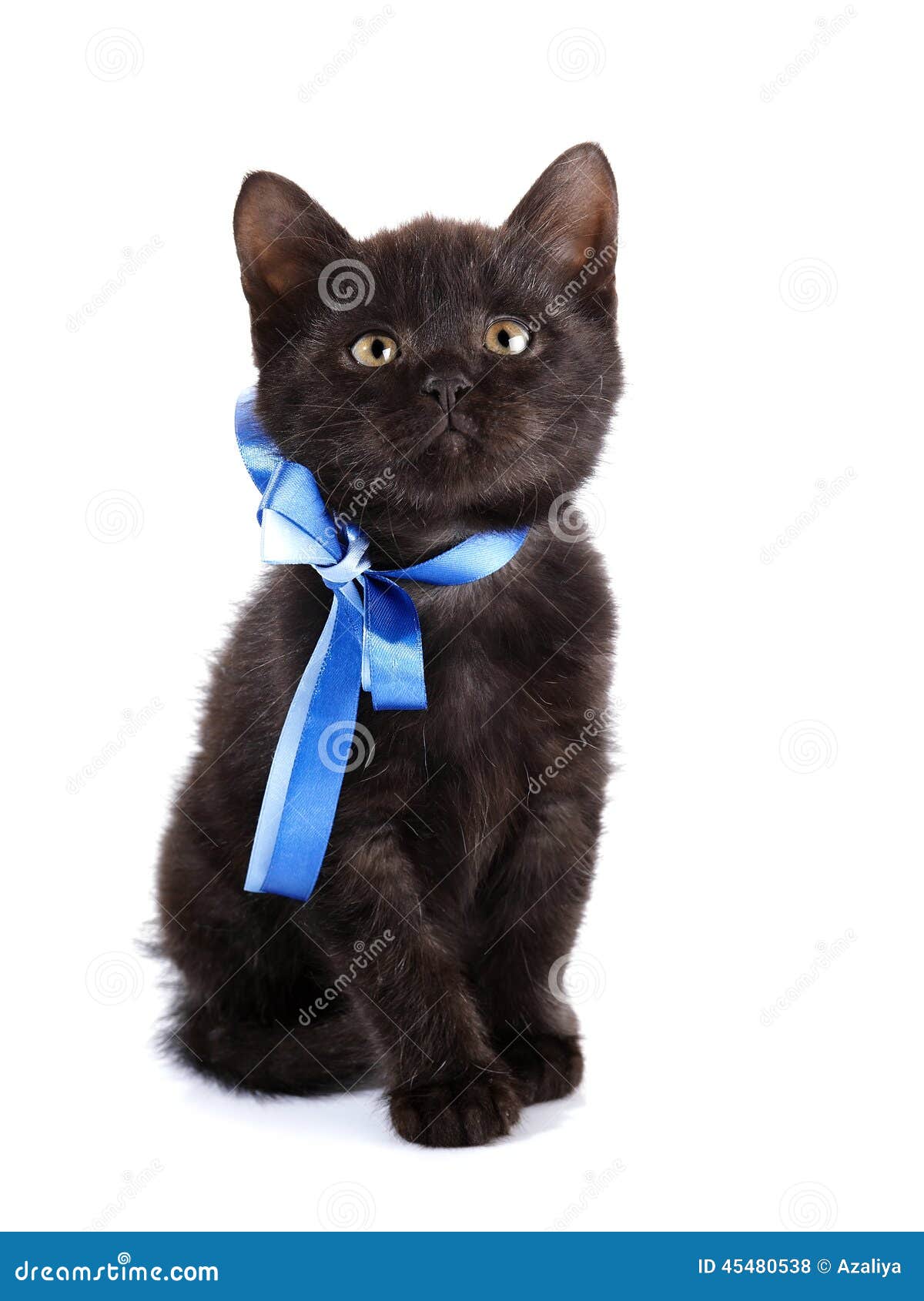 Котенок с бантиком