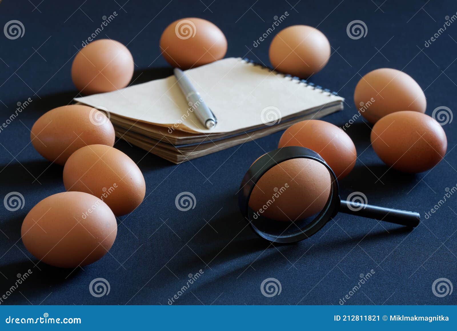 μεγεθυντικός φακός δέκα αυγά κοτόπουλου ένα σημειωματάριο και ένα στυλό  βρίσκονται σε μπλε φόντο. έλεγχος της ποιότητας των αυγών Στοκ Εικόνα -  εικόνα από : 212811821