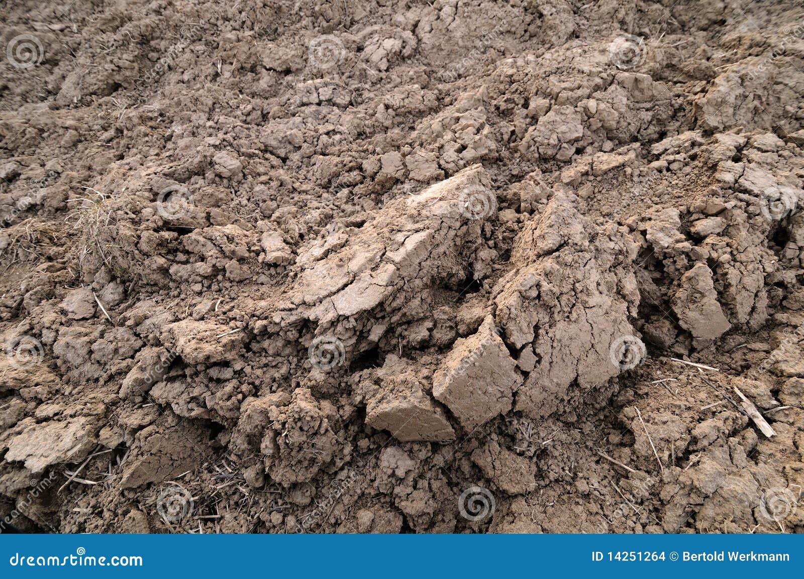 πηλώδες χώμα στοκ εικόνες. εικόνα από - 14251264
