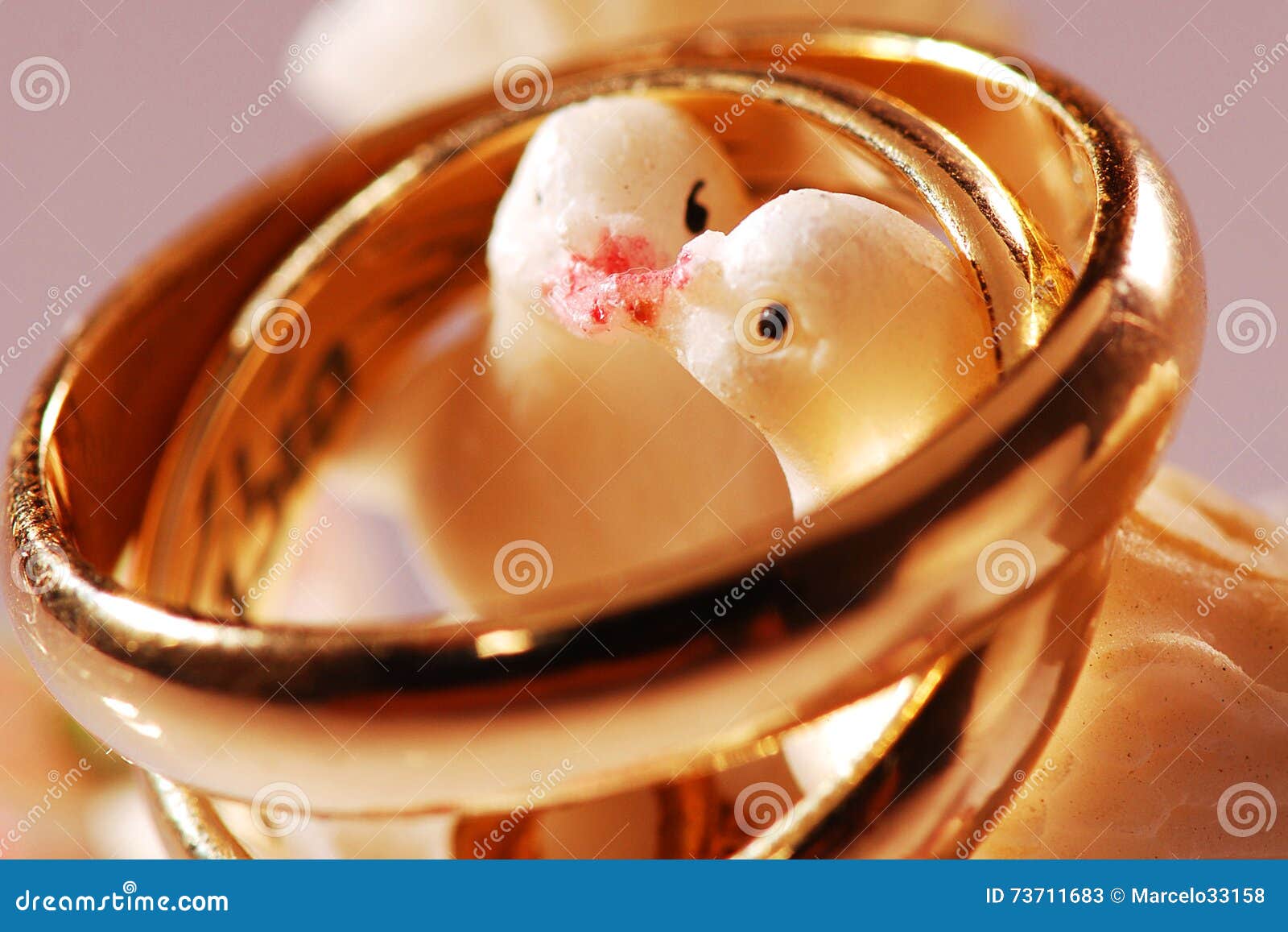 Πουλιά γαμήλιων δαχτυλιδιών Στοκ Εικόνα - εικόνα από : 73711683
