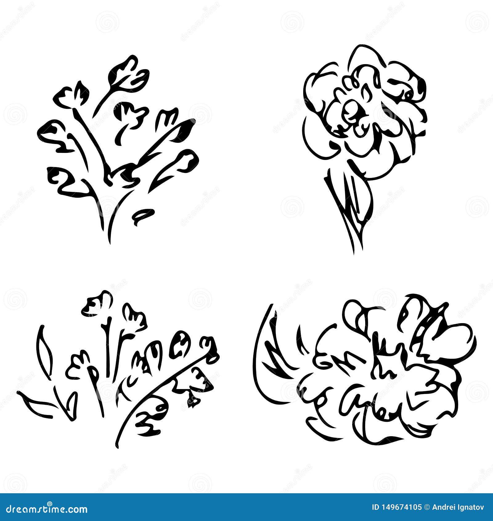 Абстрактные пионы и розы изолированные на белой предпосылке Собрание руки вычерченное флористическое 4 флористических графических Иллюстрация штока - иллюстрации насчитывающей лавр, цветок: 149674105