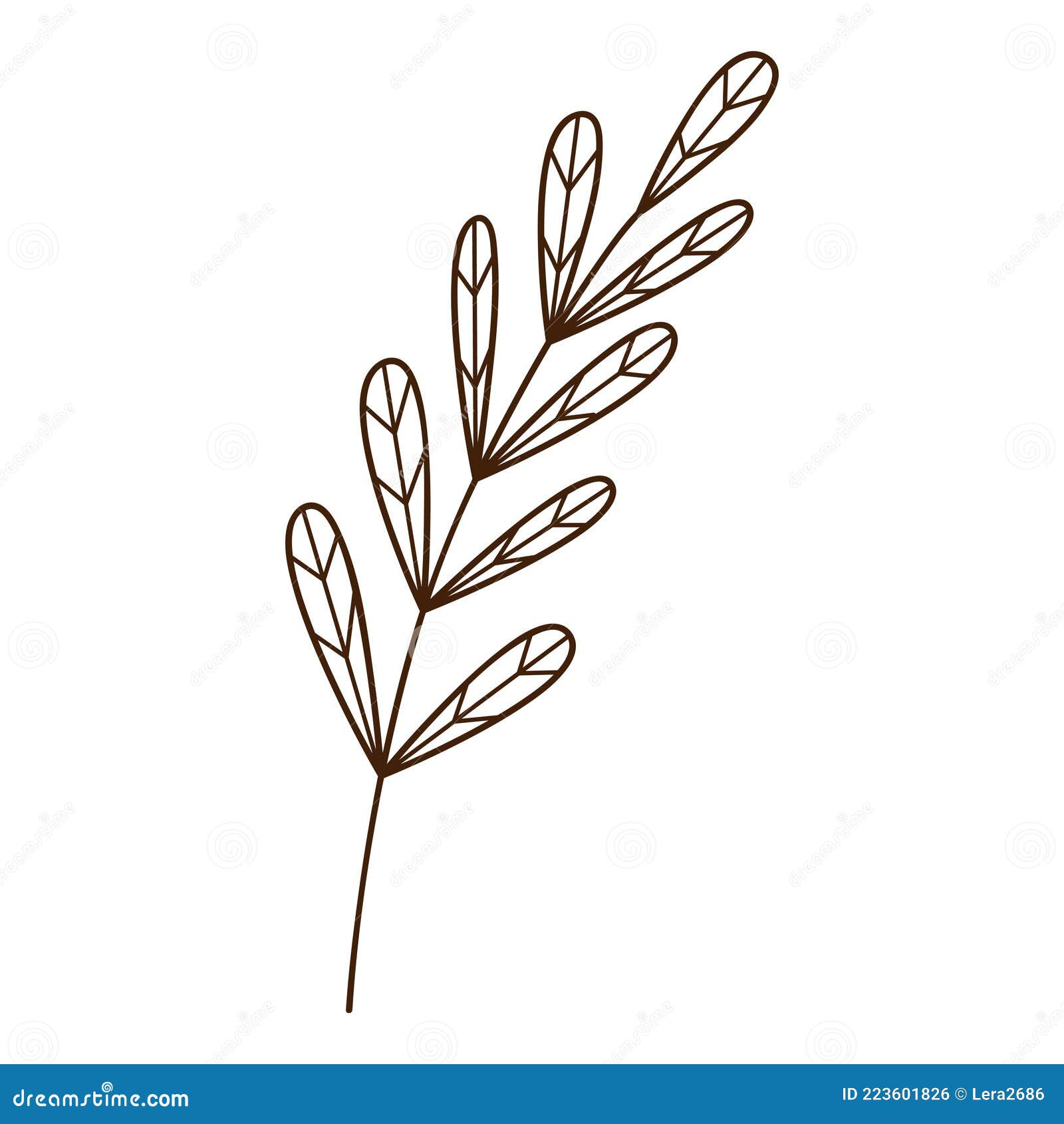 абстрактный виток с листьями. травинка. осеннее время. элемент оформления  ботанического растения с контуром. рисование каракулей. Иллюстрация вектора  - иллюстрации насчитывающей рука, декоративно: 223601826