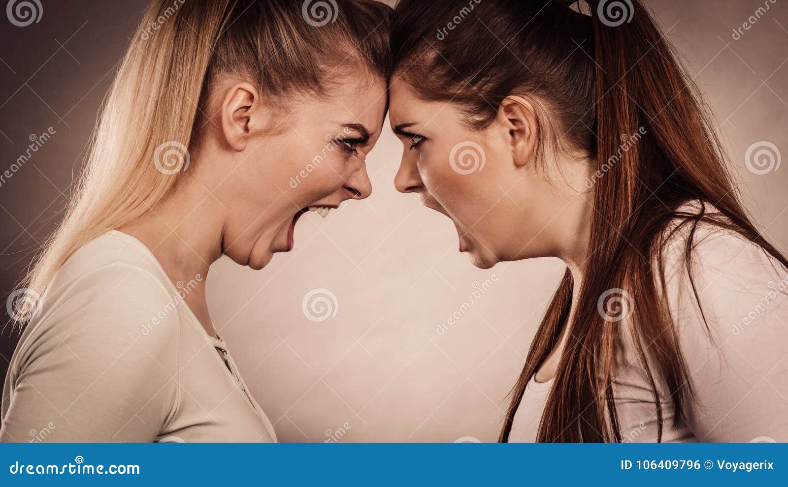 Посмотрим спорим. Агрессия женщины проект. Две женщины спорят картинка 18.