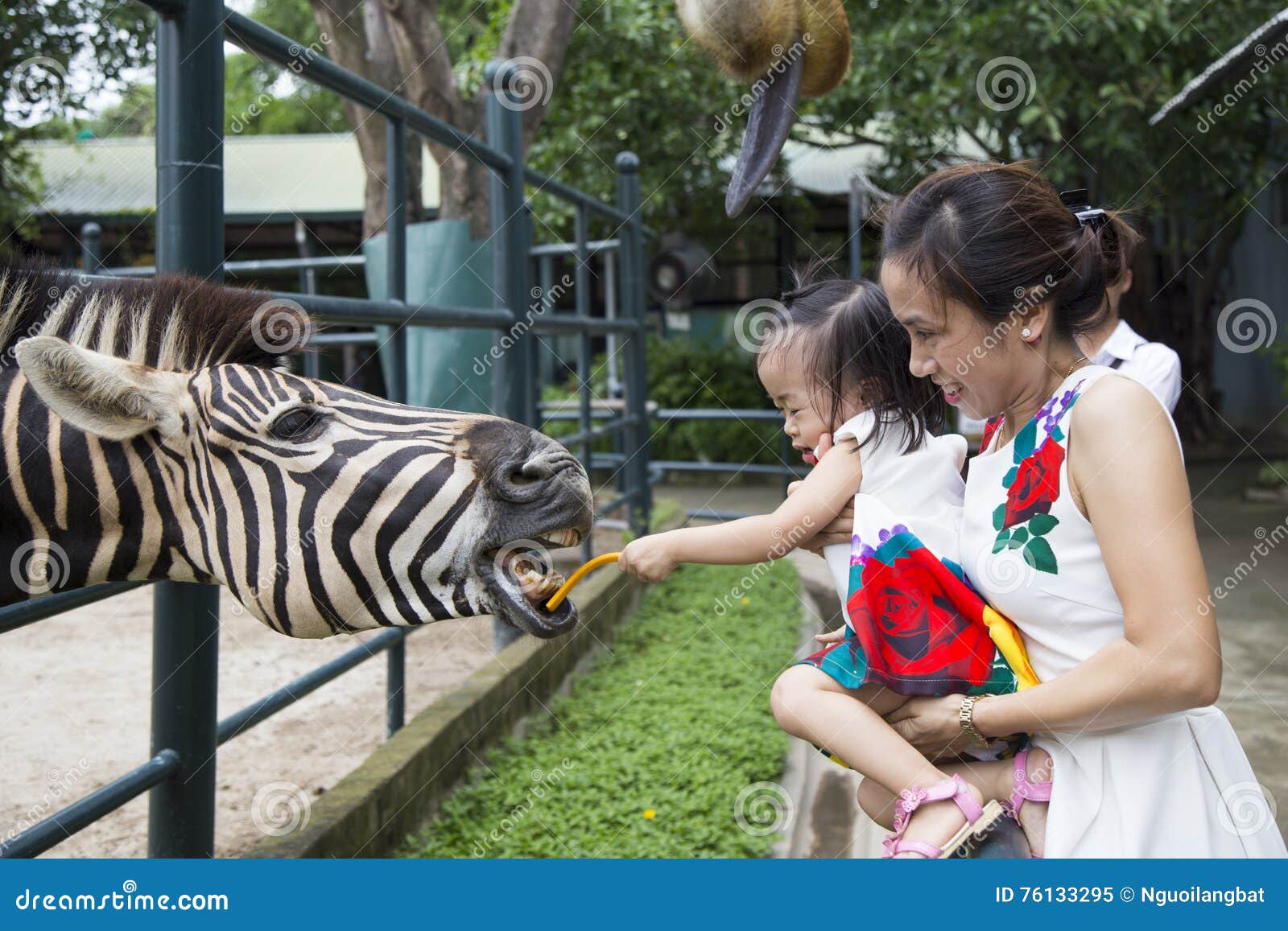 Bloody brazil teen zoo