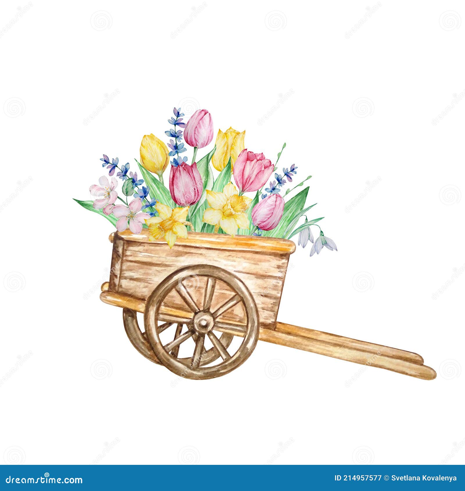 акварельная живопись весенние цветы деревянная тележка с тюльпанамиИллюстрация штока - иллюстрации насчитывающей весна, сад: 214957577