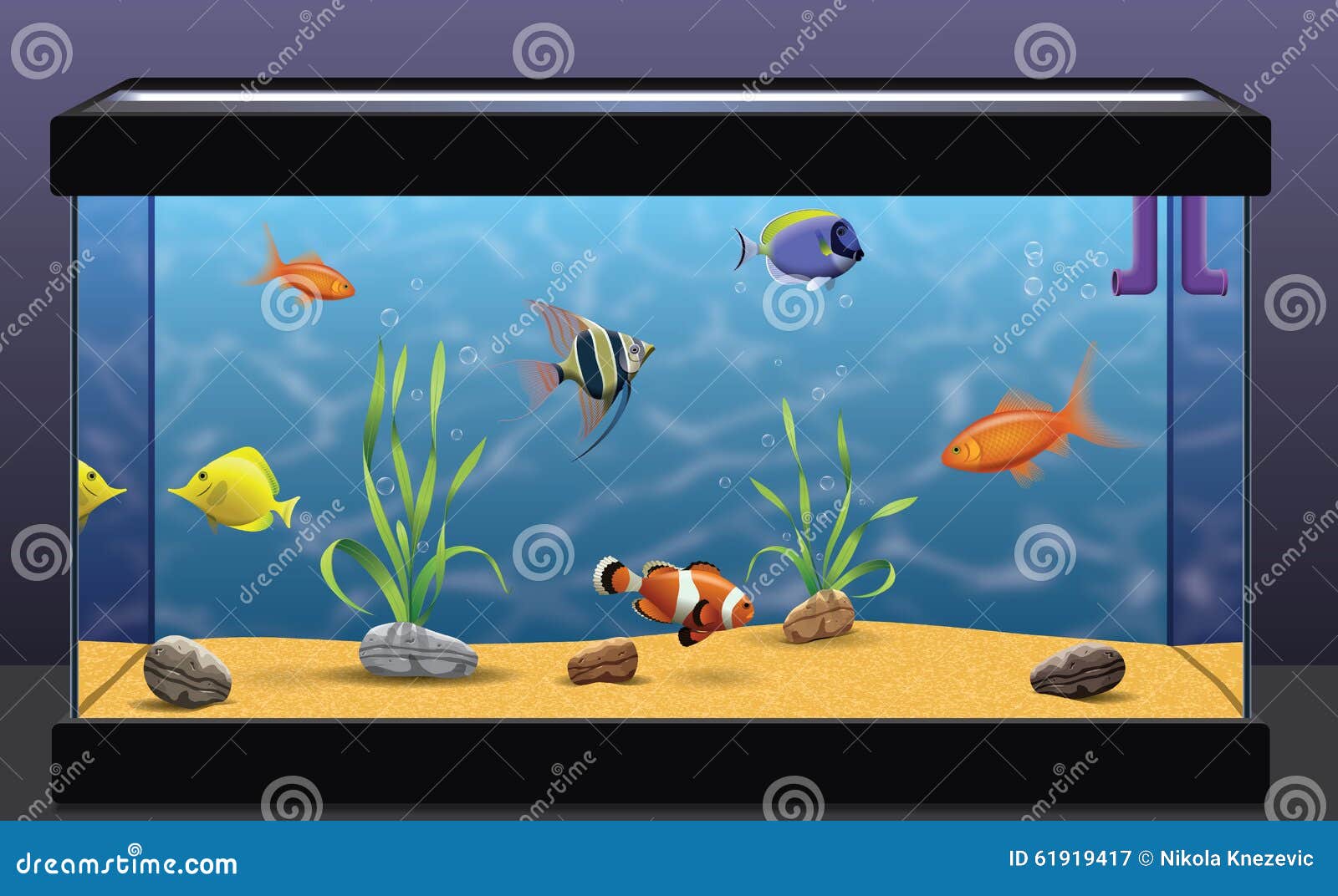 В 10 аквариумах было поровну рыбок. Аквариум с рыбками для детей. Прямоугольный аквариум с рыбками. Аквариум для детей прямоугольный. Аквариум без рыбок.