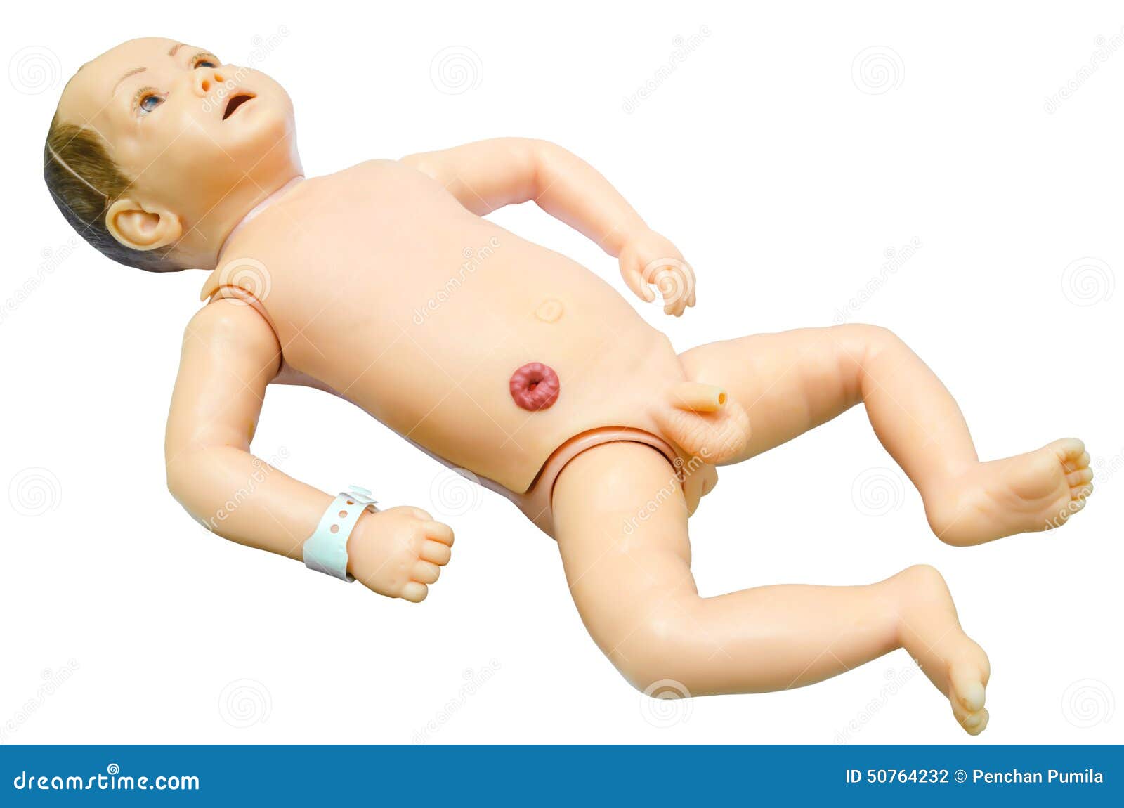 Половые органы новорожденного мальчика. Половые органы младенца. Половые органы младенца мальчика. Младенец мальчик анатомия.