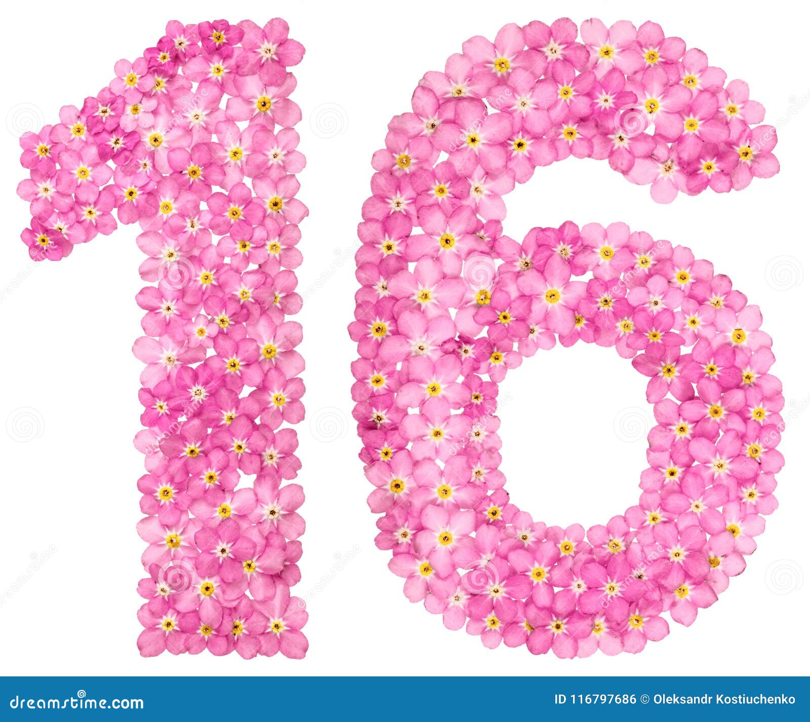 Шестнадцать буквами. Цифра 16 красивая. Цифра 16 из цветов. Розовые цифры. На фоне цифра 16.