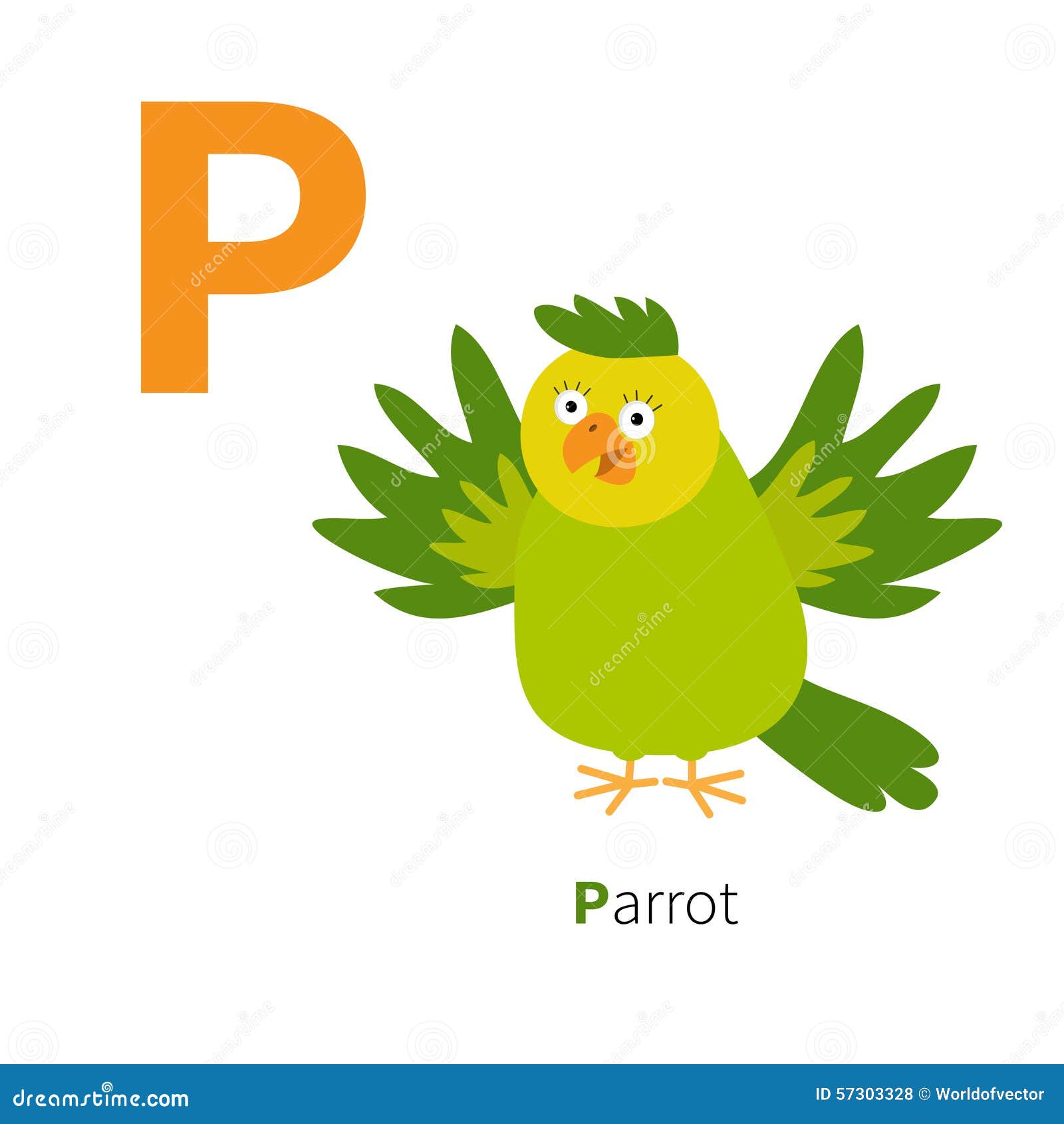 Как по английски будет попугай