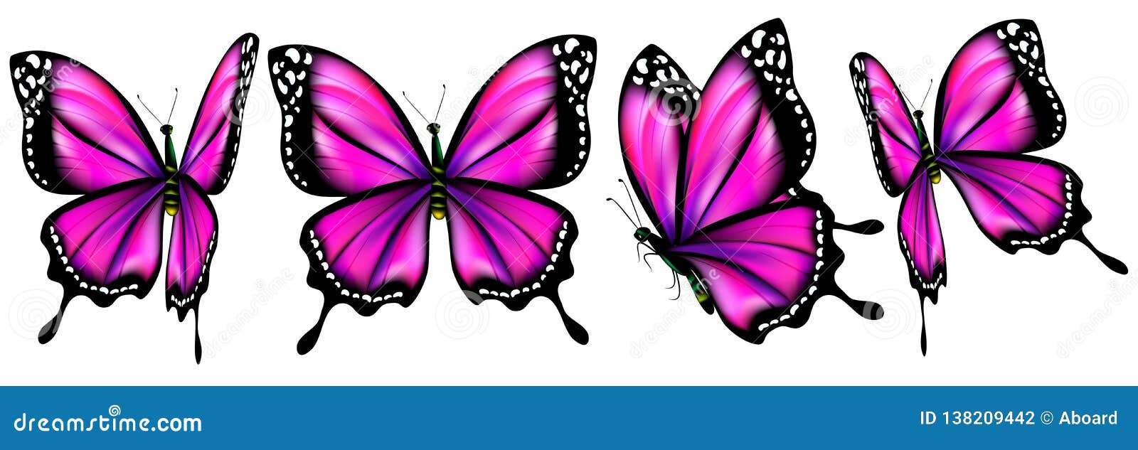 Бабочка, фиолетовые бабочки установила, на белизну Иллюстрация вектора -  иллюстрации насчитывающей изолировано, чертеж: 138209442