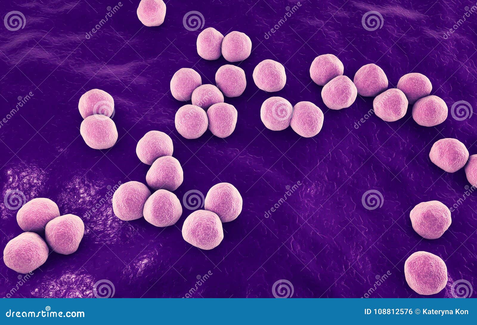 Enterococcus Faecium Images - Browse 89 Stock Photos, Vectors, and Video Adobe S