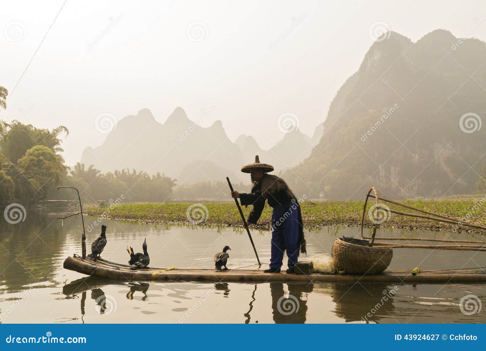 Река ли рыбалка на реке. Гуйлинь Китай рыбалка с бакланами. Рыбак с бакланом фото. Река ли вектор. My Fishing World коллекции река ли.