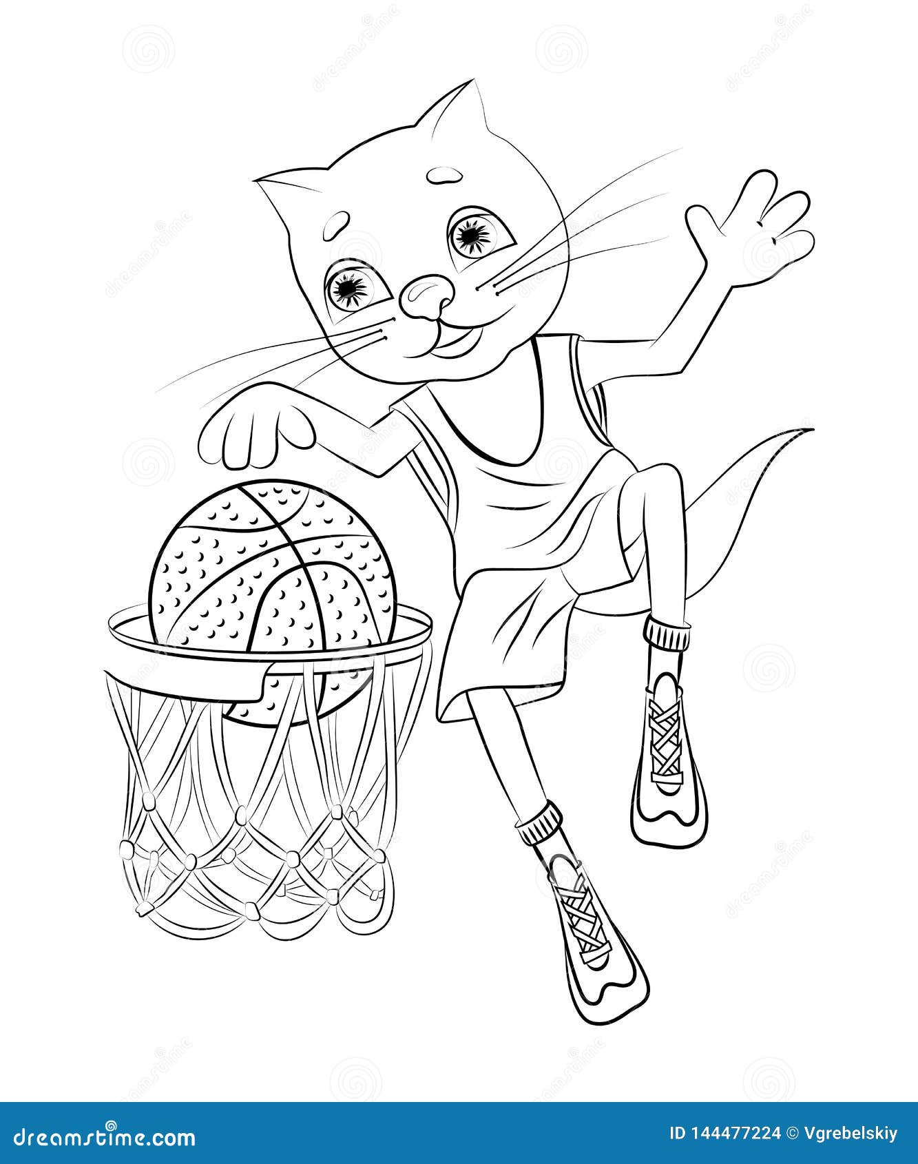 Кот баскетболист