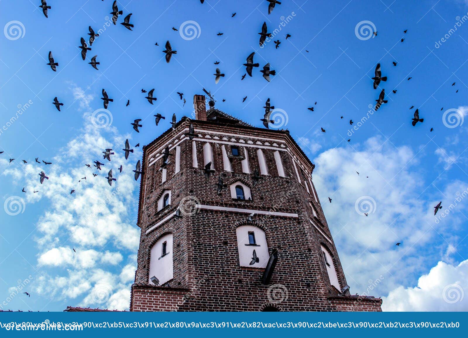 Birds башня. Башня для птиц. Птица ТОВЕР. Мальчик и птица башня. Башня из птичек.