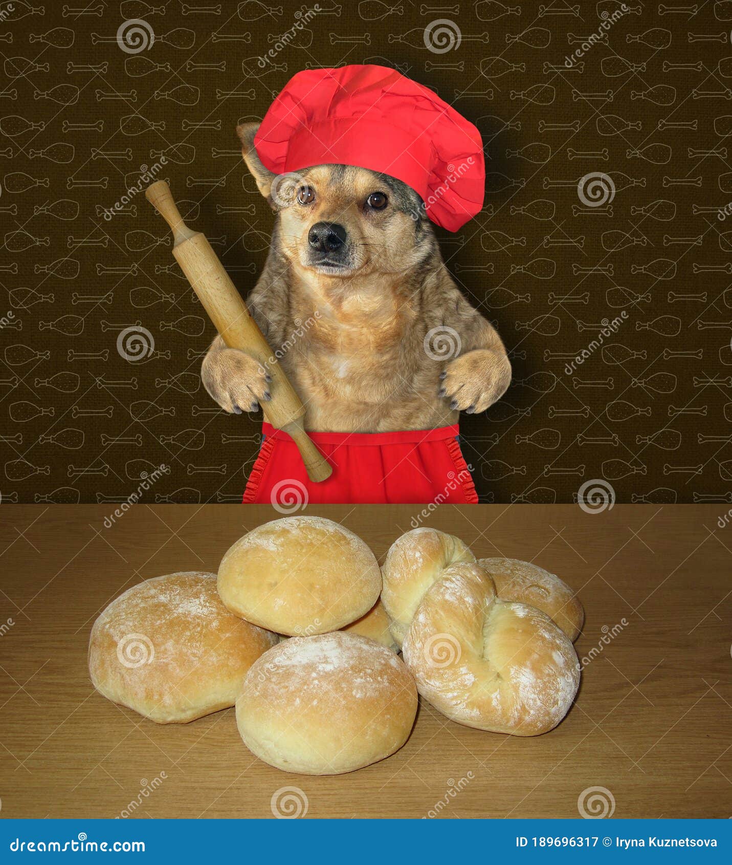 Бейкер собаки готовит хлеб 2 Стоковое Изображение - изображение  насчитывающей плюшка, смешно: 189696317