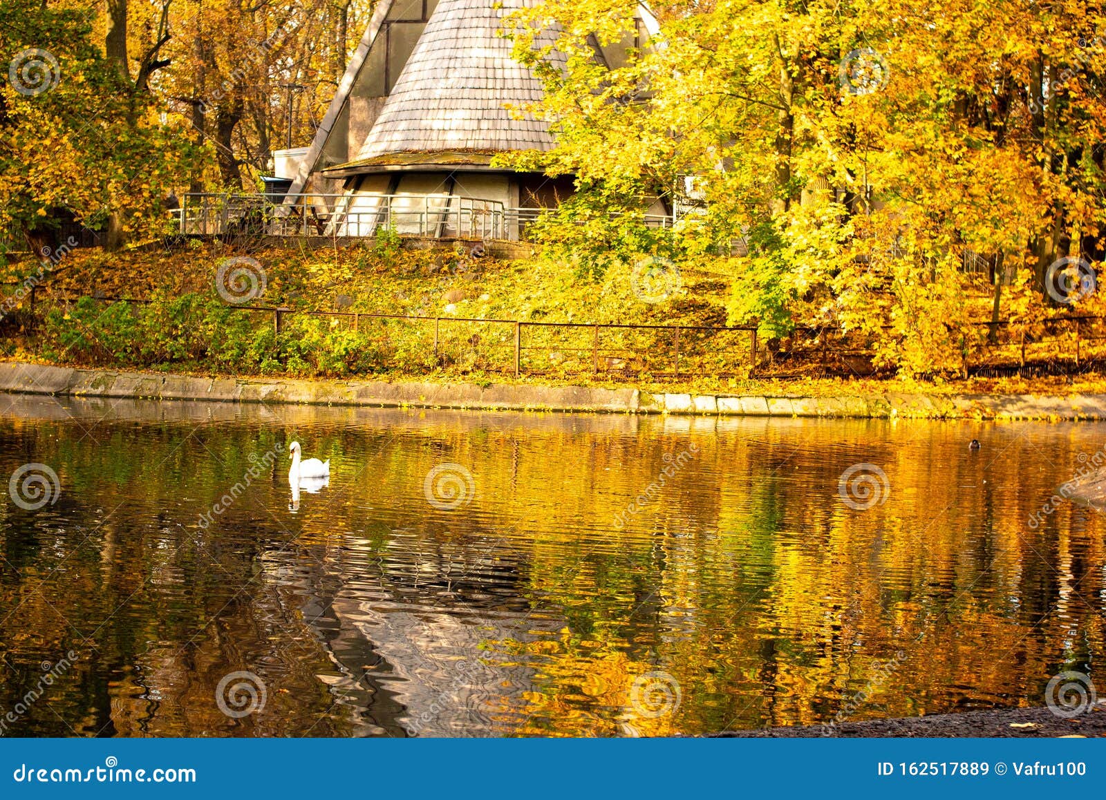 Фото На Фоне Осеннего Пейзажа