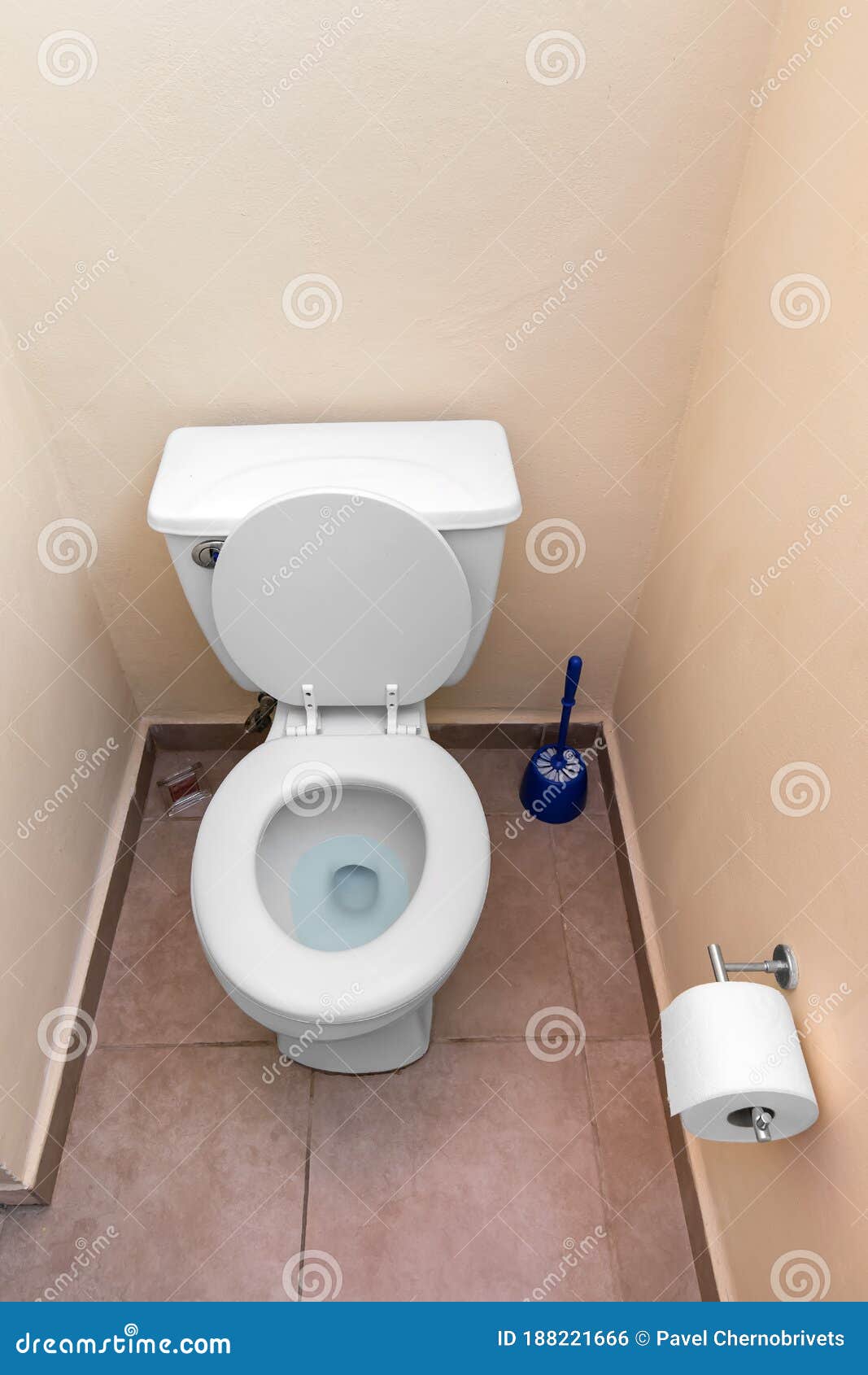 туалетная бумага в интерьере туалета