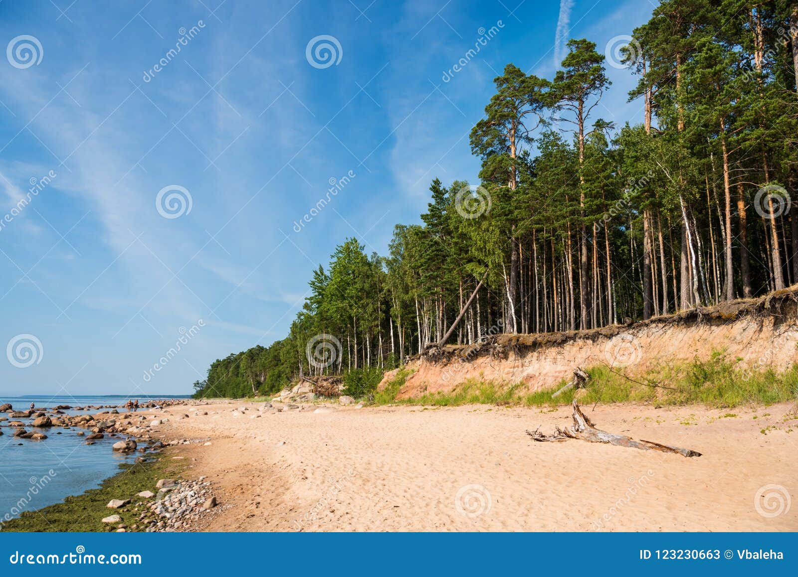 Фото Берега Балтийского Моря